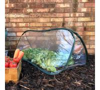 Gardenskill Pop Up Mini Poly Tunnel 1X0.4M H - Instant Greenhouse Cloche Plant Protection Cover For Fruit Raised Bed Planter Pk 2