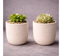 GardenSkill Scandi Style Indoor Plant Pot 10Cm, Mocha, Pack 2, Small Planter & Drip Tray With Textured Matte Finish For Succulents Herb Cactus