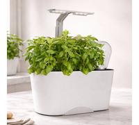 GardenSkill Self Watering Indoor Herb Garden With Led Grow Light, Adjustable Height Countertop Planter Growing System For Basil Mint Salad