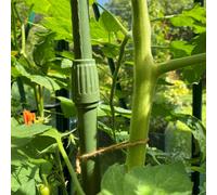 GardenSkill Telescopic Extendable Tomato, Cucumber & Climbing Plant Support Stakes - Heavy Duty Rods, Pk 6