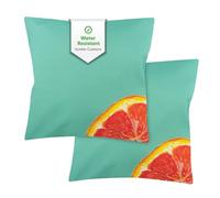 Gardenwize Pack of 2 Grapefruit Printed Scatter Cushions in Pale Green Gardenwize Pale Green