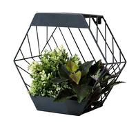 Gardenwize - Solar Hex Wall Planter, LED Light Planter Outdoor/Indoor | Black Metal Frame, Automatic Dusk Lighting, Compact 24.5cm Height, Part of 5 Design Range, Real/Artificial Plant Display