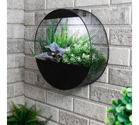 Gardenwize - Solar Pwered Warm LED Real Flower Wall Planter Decorative Stylish Indoor & Outdoor Ceiling and Wall Planter with Recharable Solar Back-up For Home,Garden (Round)