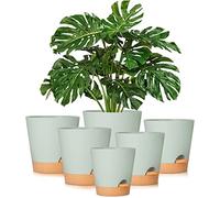 GARDIFE Plant Pots 8/7/6.5/6/5.5/5 Inch Self Watering Planters with Drainage Hole, Plastic Flower Pots, Planters for All House Plants, Succulents,Snake Plant, African Violet, Flowers, and Cactus