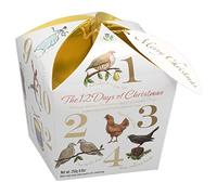 Gardiners of Scotland Apple & Cinnamon Flavoured Fudge Christmas Carton 250 g