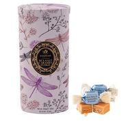 Gardiners of Scotland Dragonfly Sea Salt Caramel Fudge Tin 250 g