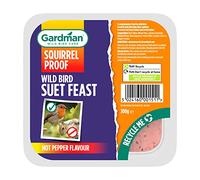 Gardman Squirrel Proof Suet Feast for Birds - 300g