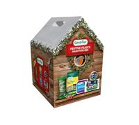 Gardman A04269 Festive Feasts Selection Box for Wild Birds