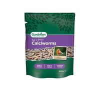 Gardman A04437 Calciworms | Rich in Protein & High in Calcium, 500G