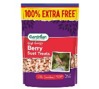 Gardman Berry Suet Treats Wild Bird Food - 500g + 100% Extra Free