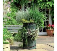 Gardman Grow It Pop Up Herb Planter - Pack Of 2