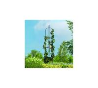 Gardman R07701X Easy Garden Obelisk Decorative, Black