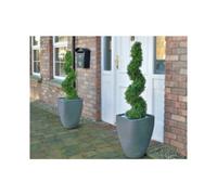 Gardman Topiary Spiral tree 120cm