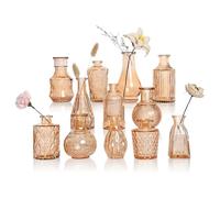 GarDream Amber Glass Vase Set of 12, Clear Bud Vases in Bulk, Mini Vases for Flowers, Small Flower Vases for Centerpieces, Vintage Decorative Embossed Vase for Home Decor, Wedding Table Decoration