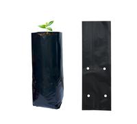 gardtree 100 Pcs Tall Plant Nursery Bags 3.9" x 10", Deep Root Plastic Plant Grow Bags Thicken Tree Seedling Pots for Vegetables, Flower, Fruit, Citrus, Nut Trees, Taproot Saplings