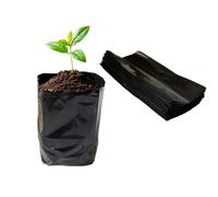 gardtree 8” x 10” 100PCS Thicken Plastic Plant Nursery Bags Nursery Grow Bags for Fruit Trees,PE Seedling Pots Seed Starter Pouch Ideal for Flower, Starting Saplings, Plant Grow Container