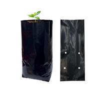gardtree 8” x 12” 100PCS Thicken Plastic Plant Nursery Bags Nursery Grow Bags for Fruit Trees,PE Seedling Pots Seed Starter Pouch Ideal for Flower, Starting Saplings, Plant Grow Container