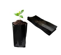 gardtree 8” x 12” 100PCS Thicken Plastic Plant Nursery Bags Nursery Grow Bags for Fruit Trees,PE Seedling Pots Seed Starter Pouch Ideal for Flower, Starting Saplings, Plant Grow Container