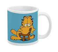 Garfield Ask Me If I Care Ceramic Coffee Mug, Novelty Gift Mugs for Coffee, Tea and Hot Drinks, 11oz, White