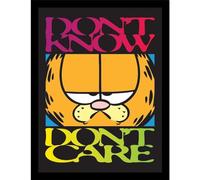 Garfield Don't Know Don't Care Framed Poster 40cm x 30cm Black/Yellow/Pink