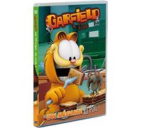 Garfield et cie : un régime au poil ! [FR Import] [DVD]