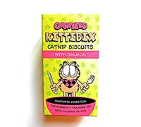 Garfield Kittibix catnip biscuits with Salmon
