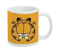 Garfield This IS My Happy Face Ceramic Coffee Mug, Novelty Gift Mugs for Coffee, Tea and Hot Drinks, 11oz, White