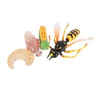 GARIOUANS 1set Creative Simulation Wasp Evolution Growth Cycle Models for Boy Girl Educational Animal Growth Toy Realistic Insect Figurines for Learning Life Cycle