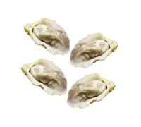 GARIOUANS 4pcs Lifelike Oyster Seafood Models Lightweight Simulation Shellfish Props for Restaurant Cabinet Display Play Food Kitchen Decor