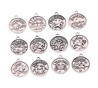 GARIOUANS Bronze Zodiac Pendant Charm for DIY Jewelry Making Alloy Retro Twelve Pattern Coin Pendants for Necklace Bracelet Earrings Women and Friends