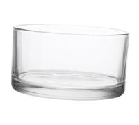 GARIOUANS Clear Glass Hydroponic Planter Vase for Single Flower Display Smooth Polished Mouth Desktop Terrarium Suitable for Tulips Roses and Hydroponic Plants for Weddings and Home Decor