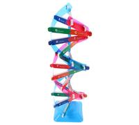 GARIOUANS Dna Double Helix Model Educational Science Teaching Instrument for Students and Gene Structure Kit with Vibrant Colors Portable Biology Learning Tool for Classroom and Home