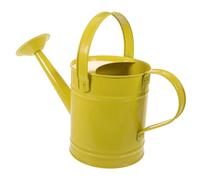 GARIOUANS Iron Garden Watering Can with Double Handles Watering Pot for Indoor and Outdoor Plants Gardening Sprayer for Flowers and Houseplants
