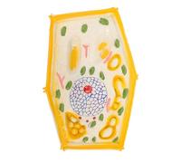 GARIOUANS Magnification Plant Cell Model Anatomy Teaching Aid for Classroom Use Easy to Clean Educational Display for Biology Lessons and Science Exhibitions