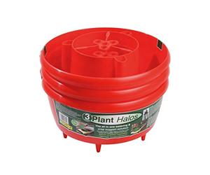 Garland Plant Halo Red - Set of 3