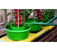 Garland Plant Halos – Green – Pack of 3 (338373)