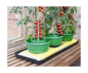 Garland Plant Halos Tomato Culture Pots - Pack of Three
