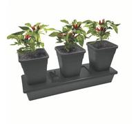 Garland Products Ltd Chilli Grow Self Watering 3 Pot Planter With 16L Smart Reservoir