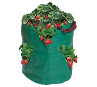 Garland Products Ltd Garland Herb & Strawberry Grow Bag Planter