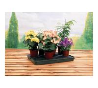 Garland Products Ltd Garland Self Watering Capillary Tray Large
