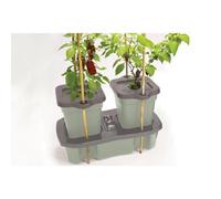 Garland Products Ltd Garland Self Watering Duogrow Planter