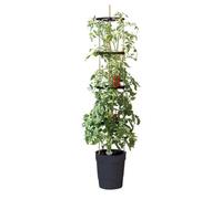 Garland Products Ltd Garland Self Watering Grow Pot Tower - Black