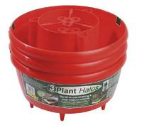 Garland Plant Halo Red - Set of 3