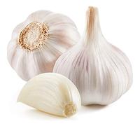 Garlic Growing Set - French Variety 'Vigor Supreme' - 3 x Large Bulb Pack Garden Plants - Garlic Bulbs - Vegetable Bed - Containers - Kitchen - Garden Ready + Ready to Plant - Premium Quality Bul