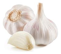 Garlic Growing Set - French Variety 'Vigor Supreme' - 6 x Full Bulb Pack - Garden Plants - Garlic Bulbs - Vegetable Bed - Containers - Kitchen - Garden Ready + Ready to Plant - Premium Quality Bulbs