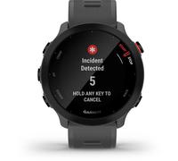 Garmin Forerunner 55 Watch One Size Monterra Grey