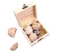 Garneck 1 Box Gemstones Mining Kit Educational Rock Collection Safe and Fun Geology for Birthday Gift with Real Ore Specimens and Crystal Digging Experience
