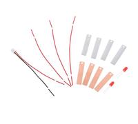 Garneck 2 Sets DIY Fruit Battery Science Experiment Kit with LED Lights for Physics Learning Educational School Project Zinc Copper Conductivity Teaching