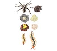 Garneck 2 Sets Educational Animal Figurines Tarantula and Life Cycle Evolution Models for Natural Science Learning and Biology Exploration Plastic Cognitive Kits
