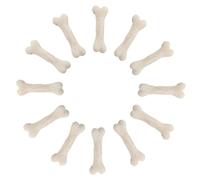 Garneck 20 Pcs Miniature Skeleton Bones for Crafts Realistic Dog Bones Model Props for Halloween Decor Micro Landscape Decoration Educational for DIY Projects